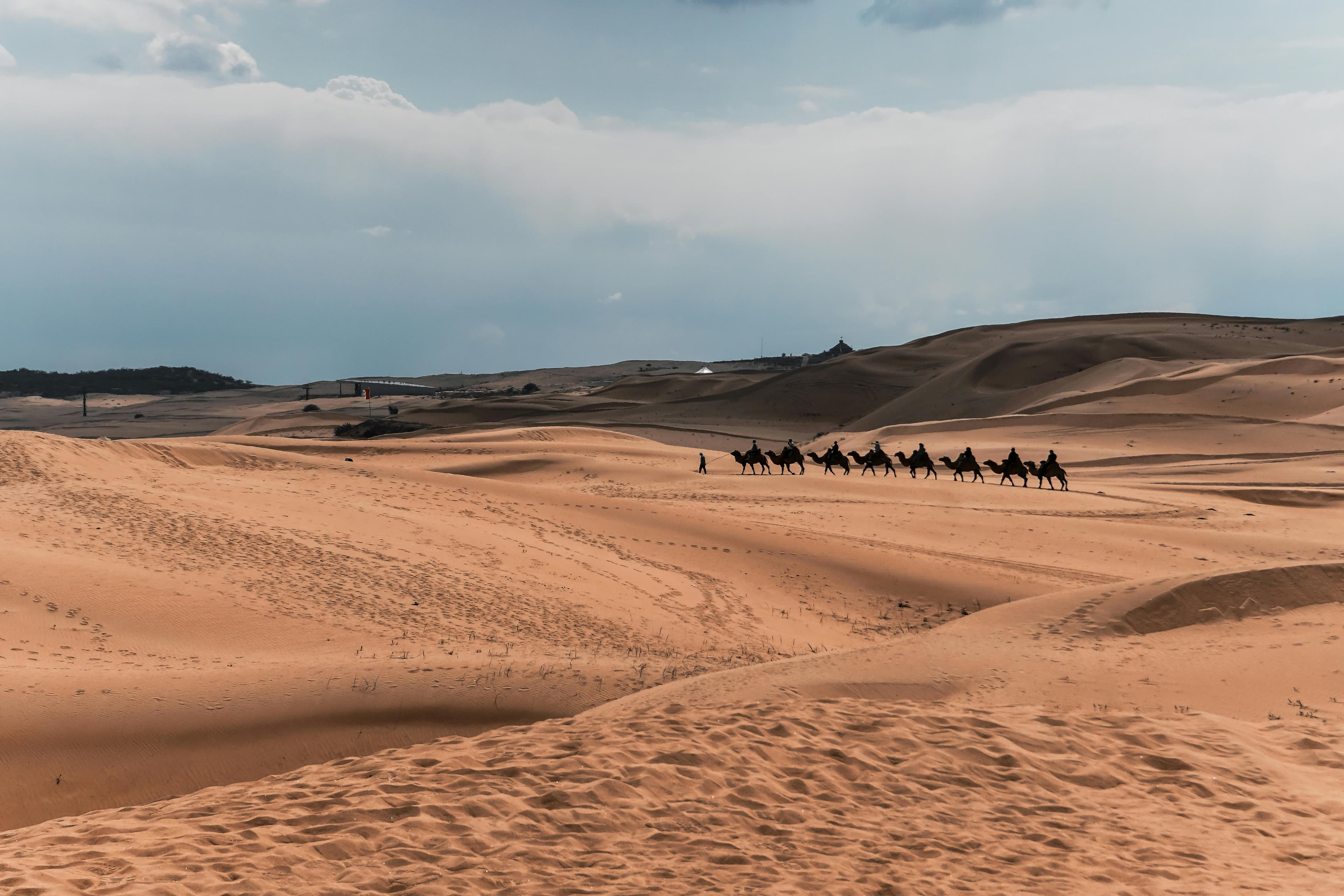 Gobi Desert, Mongolia